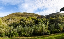 Steenbok Cottage Mountain View